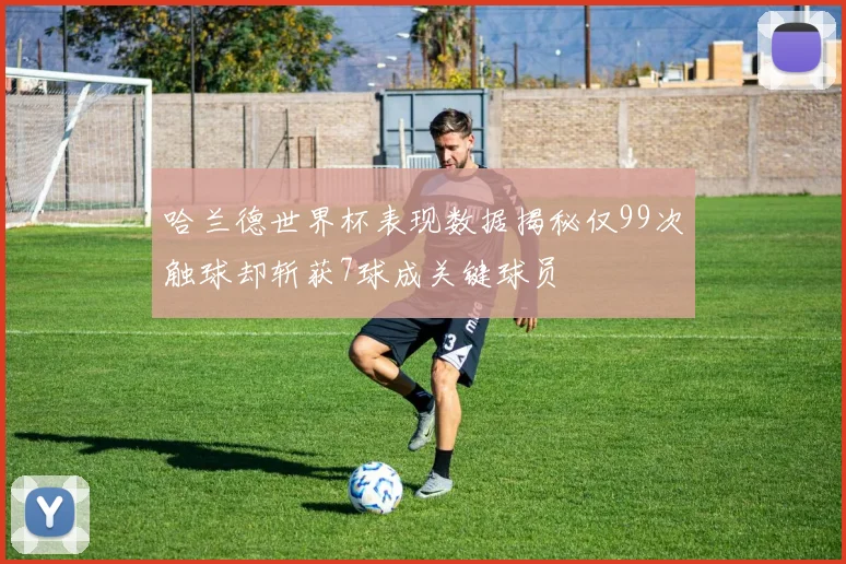 哈兰德世界杯表现数据揭秘仅99次触球却斩获7球成关键球员