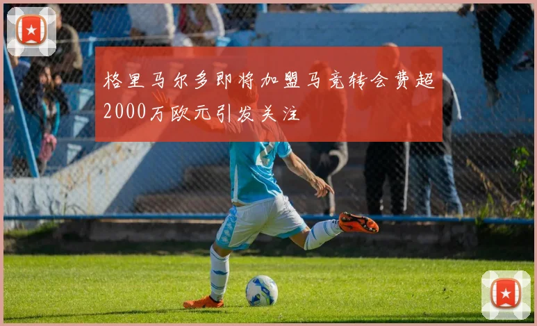 格里马尔多即将加盟马竞转会费超2000万欧元引发关注